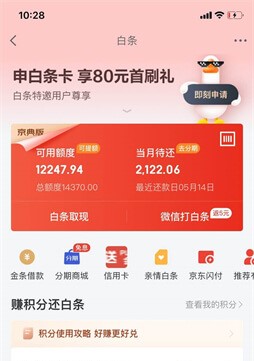 “京东白条案”中的95后：年轻不留白，却留下了人生污点