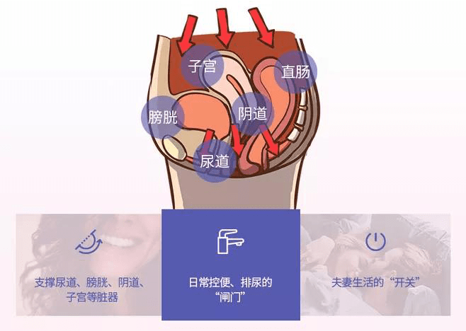 关于阴道松弛，你一定要知道的五大真相