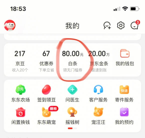 京东白条怎么使用流程（教你京东白条开通技巧