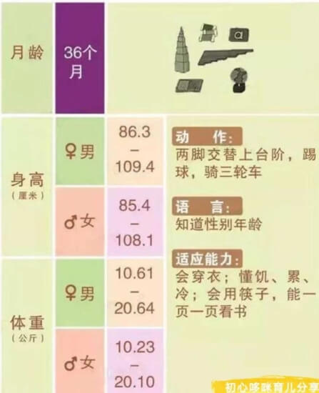 12张图片，带你了解婴儿1-12月发育全过程，解答宝宝成长发育变化