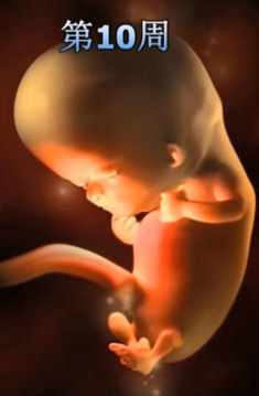 孕期要做几次B超？会影响胎儿吗？产科医生：这项检查才可能致畸