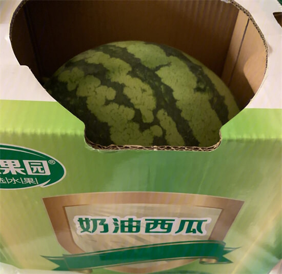 ​新疆的“牛奶西瓜”成熟上市 有什么特点？