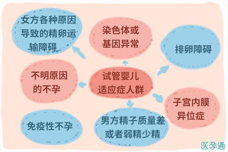 做试管婴儿孩子聪明吗，有没有什么影响？