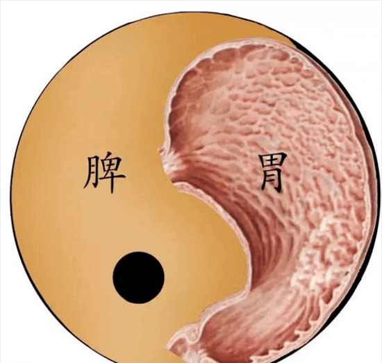 孩子特别能吃，却又瘦又小？段医生：光吃不消化，脾胃出问题了