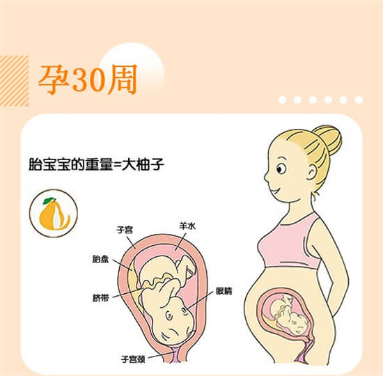 这个时间段，是孕妈补充DHA的黄金期，促进胎儿脑发育，别错过
