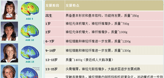 ​大脑发育30岁才完成吗？