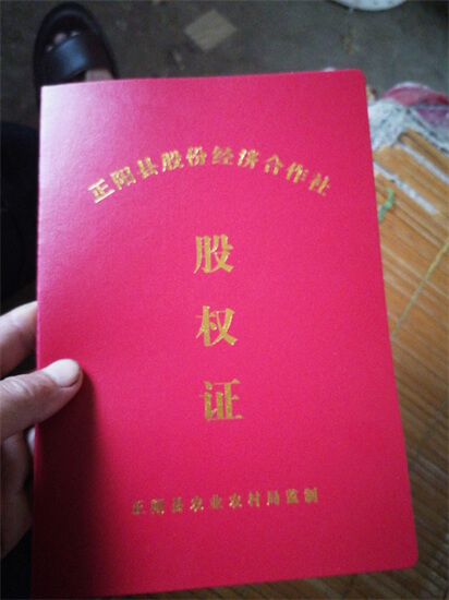 农民股权证内容曝光：有了这个证，村民变股东